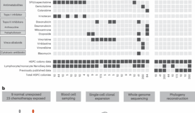 The long-term effects of chemotherapy on normal blood cells