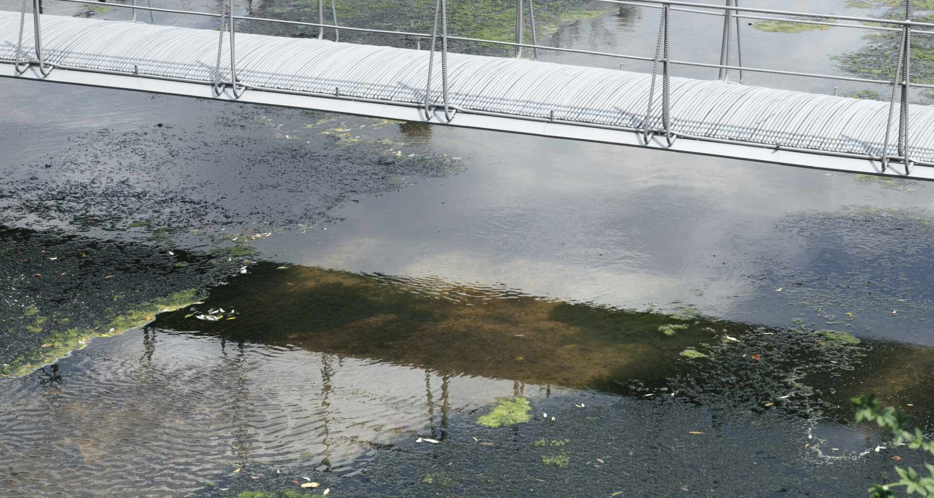 Ephemeral Bridge / FAR WORKSHOP