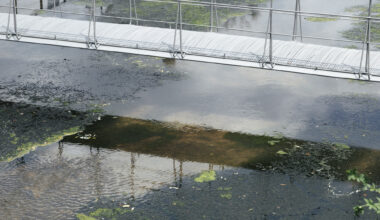Ephemeral Bridge / FAR WORKSHOP