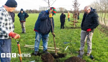 Increase in tree planting in Humber Forest project