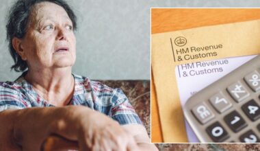 State pension 'nightmare' for elderly Britons as millions to be hit with tax raid next year
