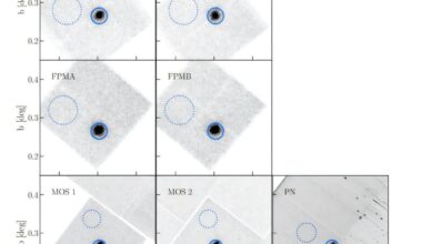 Astronomers investigate pulsar PSR J1930+1852 and its pulsar wind nebula