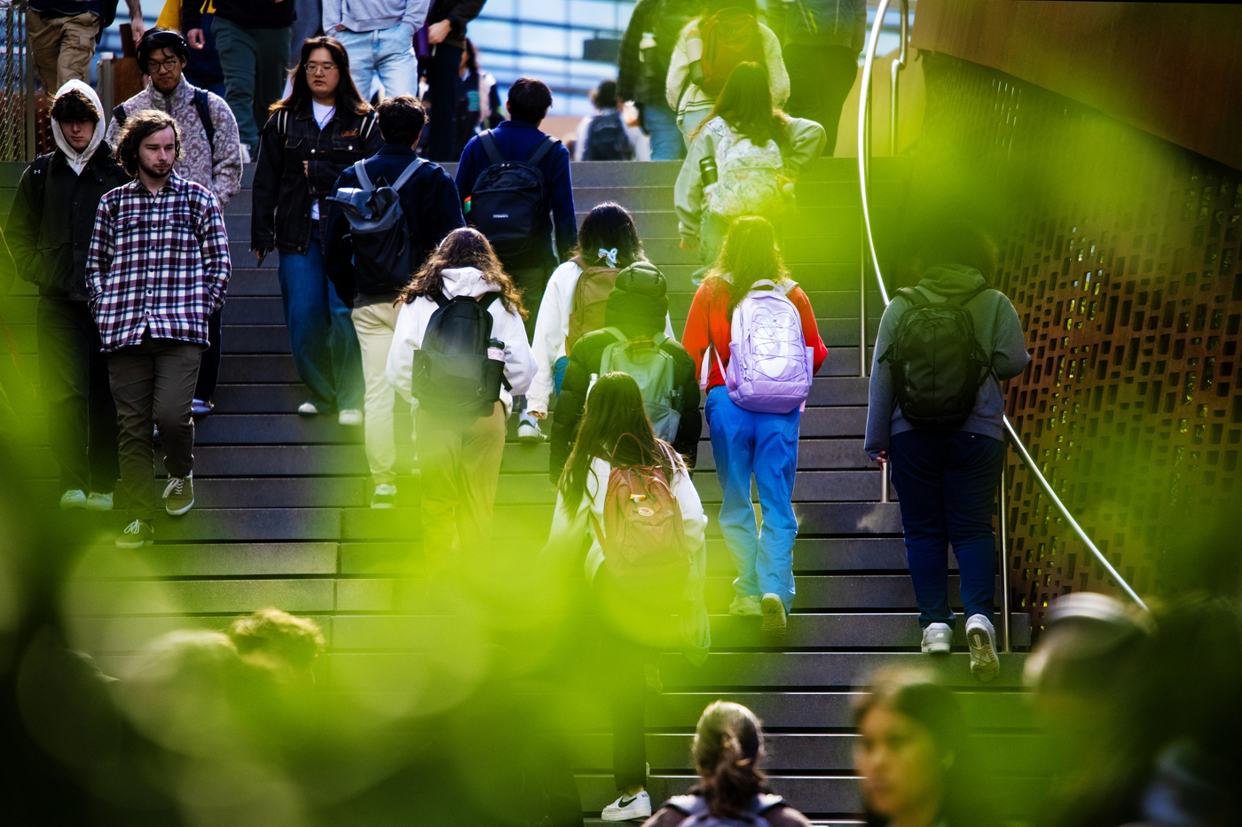 People walk up and down a staircase on a campus framed by greenery.