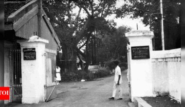The long road from madness to mental health | Chennai News