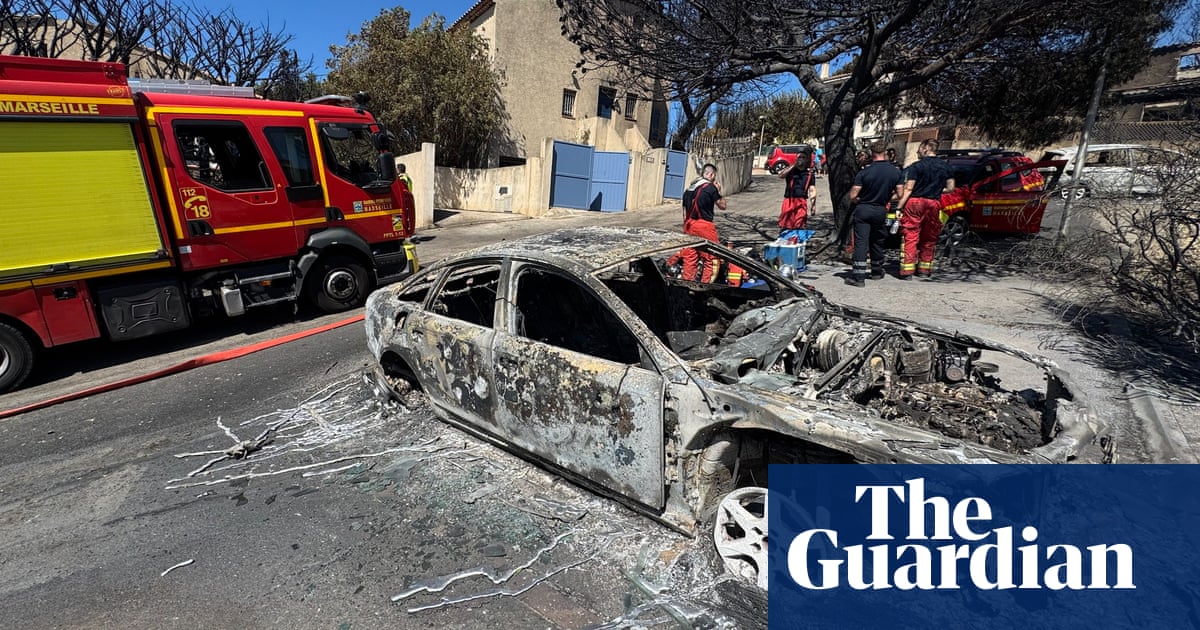 French warned of high-risk summer for wildfires as Marseille blaze contained | France