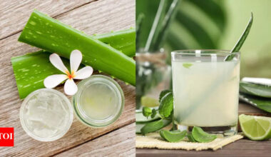 Is aloe vera safe for you? Health benefits and potential risks you need to know |