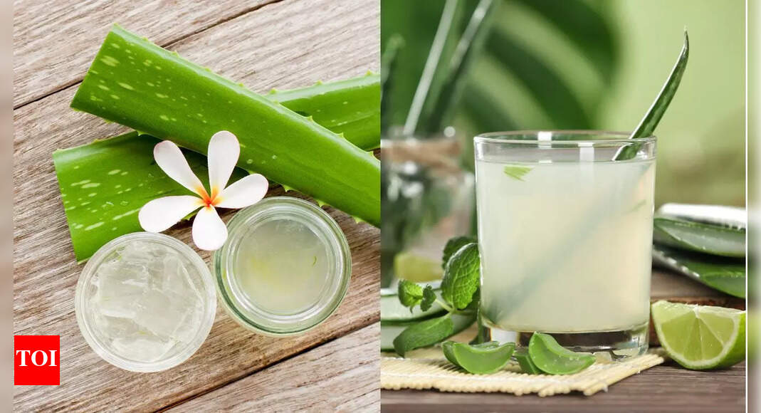 Is aloe vera safe for you? Health benefits and potential risks you need to know |