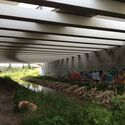 The Architecture of Rewilding: Designing for Ecosystem Recovery - Image 4 of 73