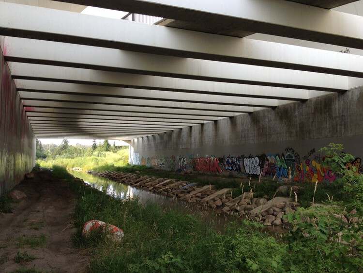 The Architecture of Rewilding: Designing for Ecosystem Recovery - Image 4 of 73