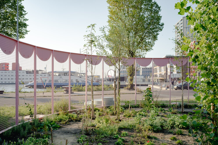 The Architecture of Rewilding: Designing for Ecosystem Recovery - Image 5 of 73