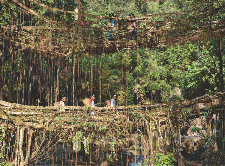 The Architecture of Rewilding: Designing for Ecosystem Recovery - Image 35 of 73