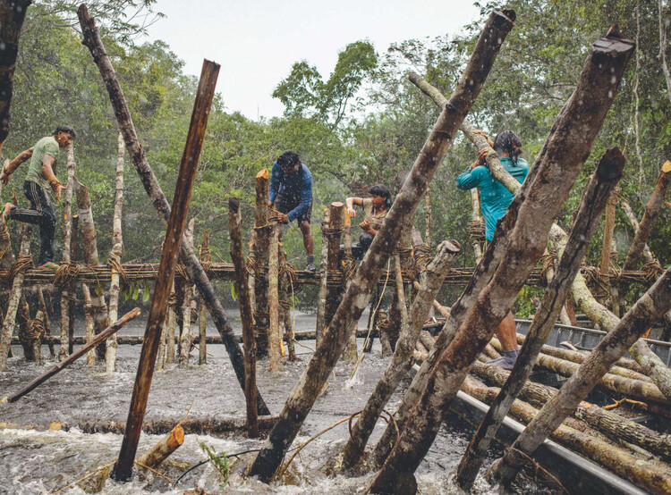 The Architecture of Rewilding: Designing for Ecosystem Recovery - Image 39 of 73