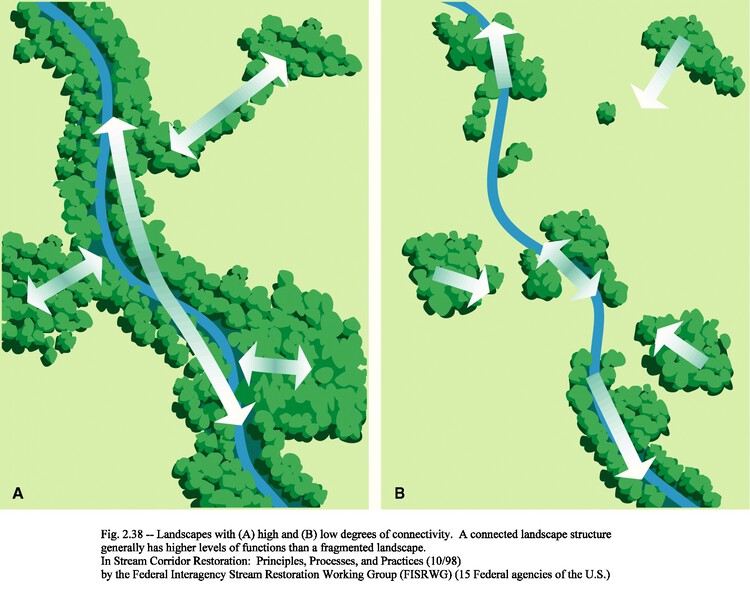 The Architecture of Rewilding: Designing for Ecosystem Recovery - Image 59 of 73