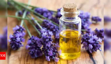Lavender Hair Growth Oil: How to use Lavender oil for hair growth |