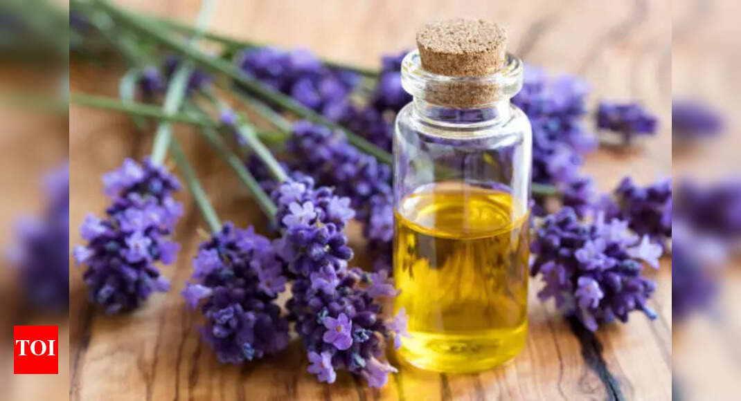 Lavender Hair Growth Oil: How to use Lavender oil for hair growth |