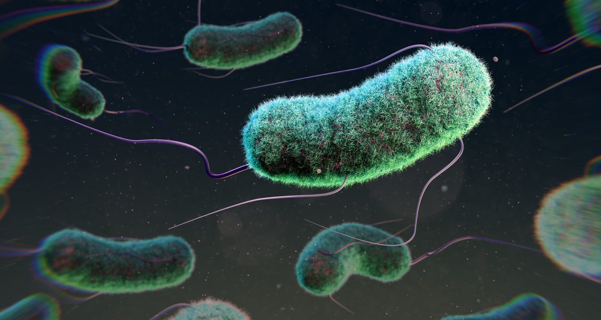 Warning over surge in cases of deadly bacteria in UK that kills one in 10 - check 3 symptoms to watch out for