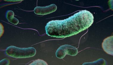 Warning over surge in cases of deadly bacteria in UK that kills one in 10 - check 3 symptoms to watch out for
