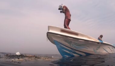 Whale Watching Tour Sees Floating Pile Of Trash — With Someone Trapped Inside