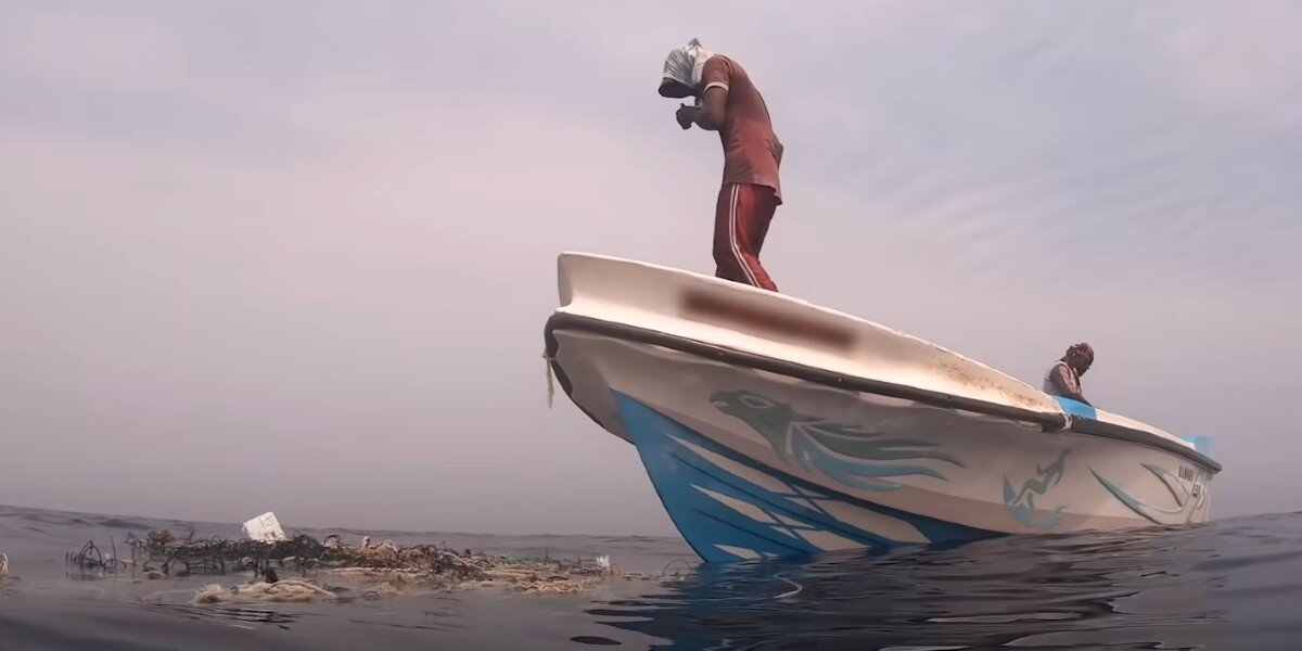 Whale Watching Tour Sees Floating Pile Of Trash — With Someone Trapped Inside