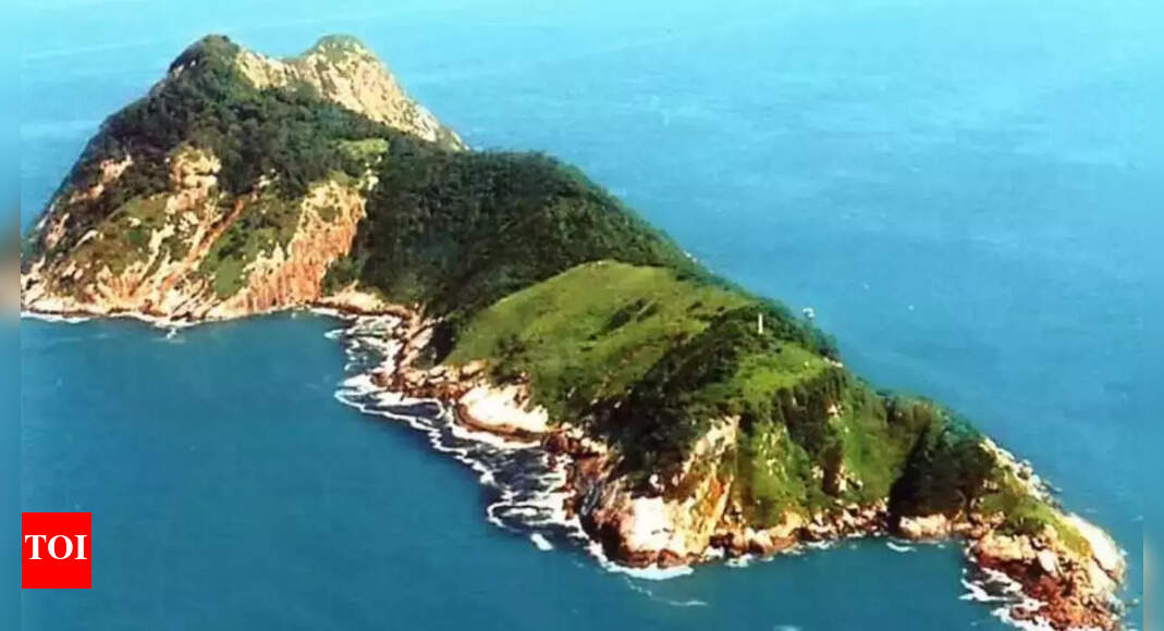 Snake Island is the deadliest place on Earth: 4,000 vipers, one per square metre, and zero tourists allowed |