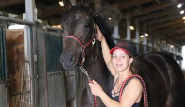 Bloodlines run deep at Downs – Winnipeg Free Press