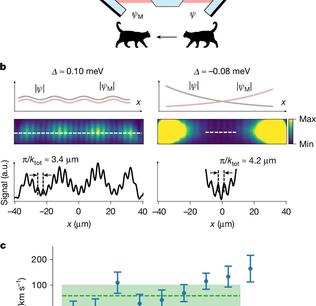 Speed test of 'tunneling' electrons challenges alternative interpretation of quantum mechanics