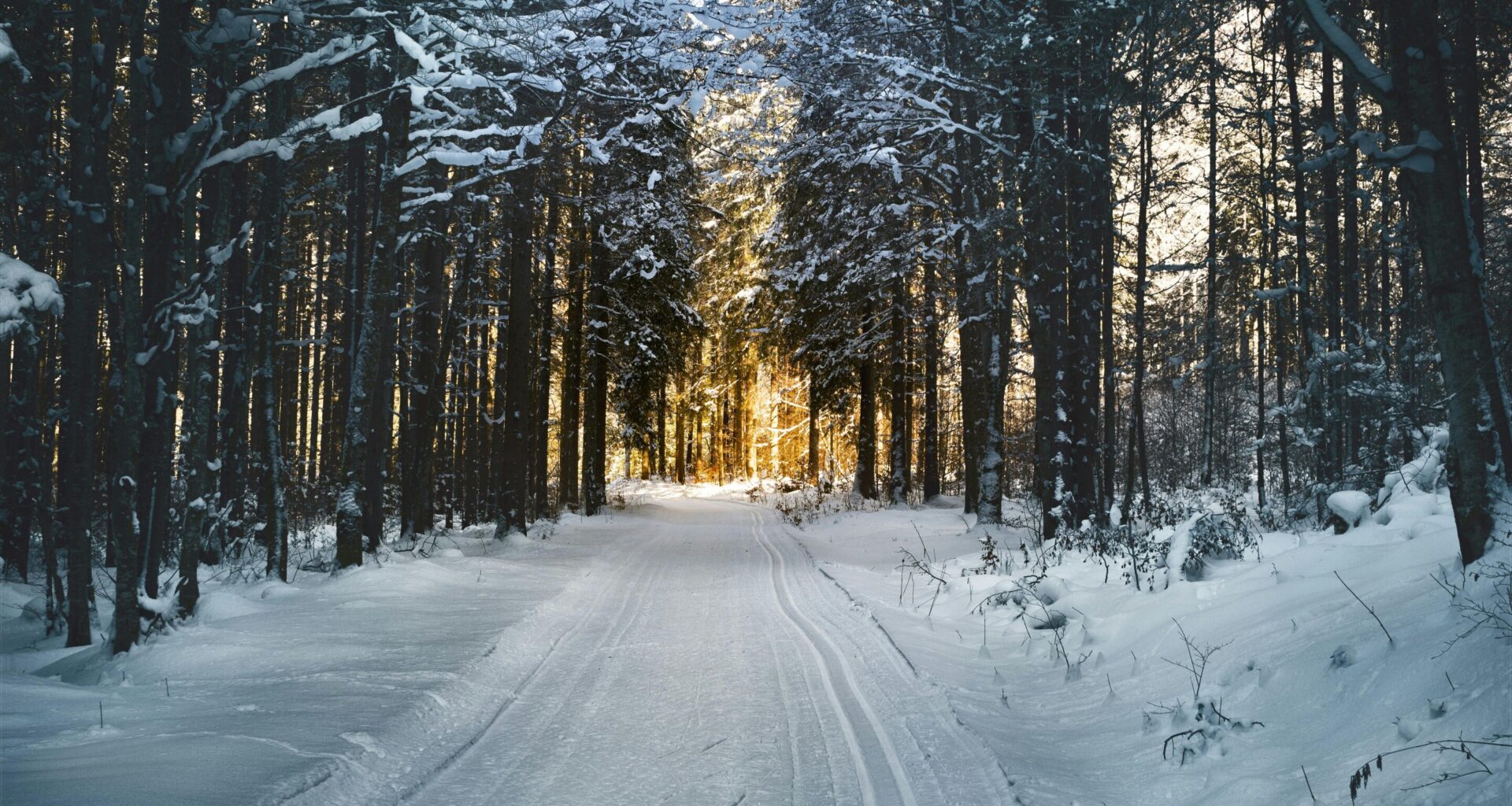 Polar vortex patterns explain shifting US winter cold despite warming climate