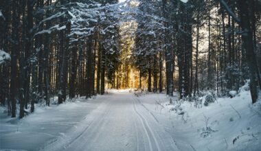 Polar vortex patterns explain shifting US winter cold despite warming climate