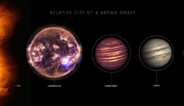 Dark matter could create dark dwarfs at the center of the Milky Way