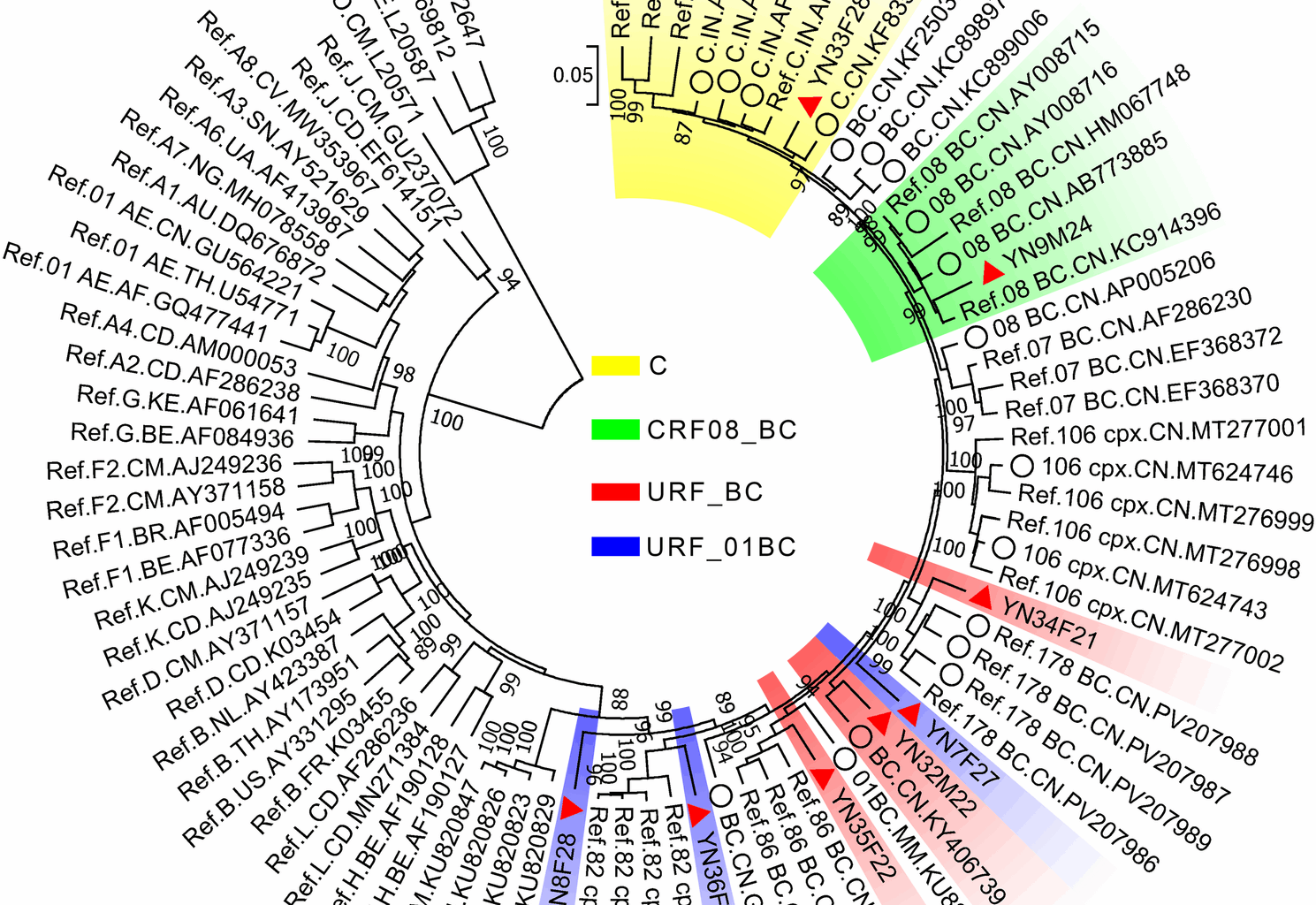Genetic diversity of HIV in Yunnan, China: the role of second-generation recombination involving circulating and unique recombinant forms | Virology Journal