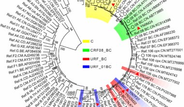Genetic diversity of HIV in Yunnan, China: the role of second-generation recombination involving circulating and unique recombinant forms | Virology Journal