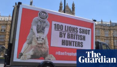 Labour has not implemented a single animal welfare pledge, say campaigners | Animal welfare