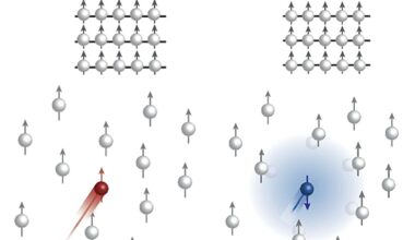 A new mechanism to realize spin-selective transport in tungsten diselenide