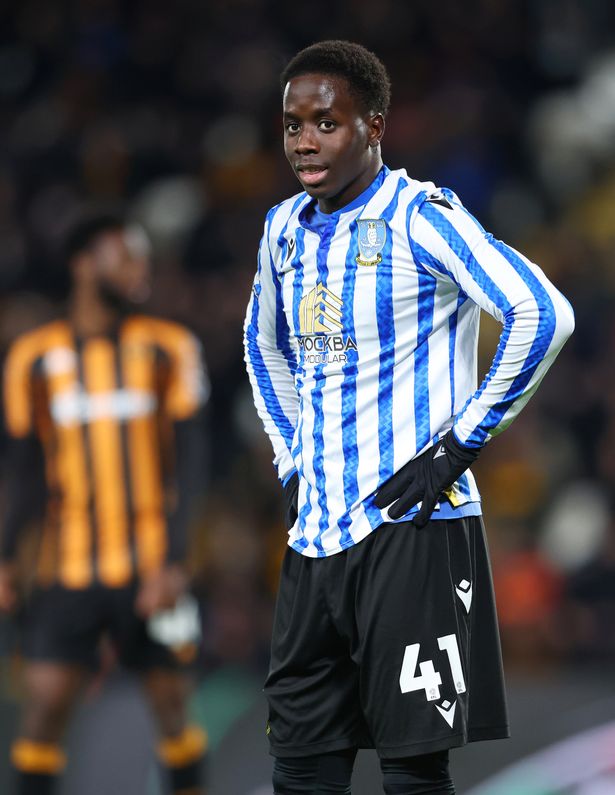 Djeidi Gassama of Sheffield Wednesday