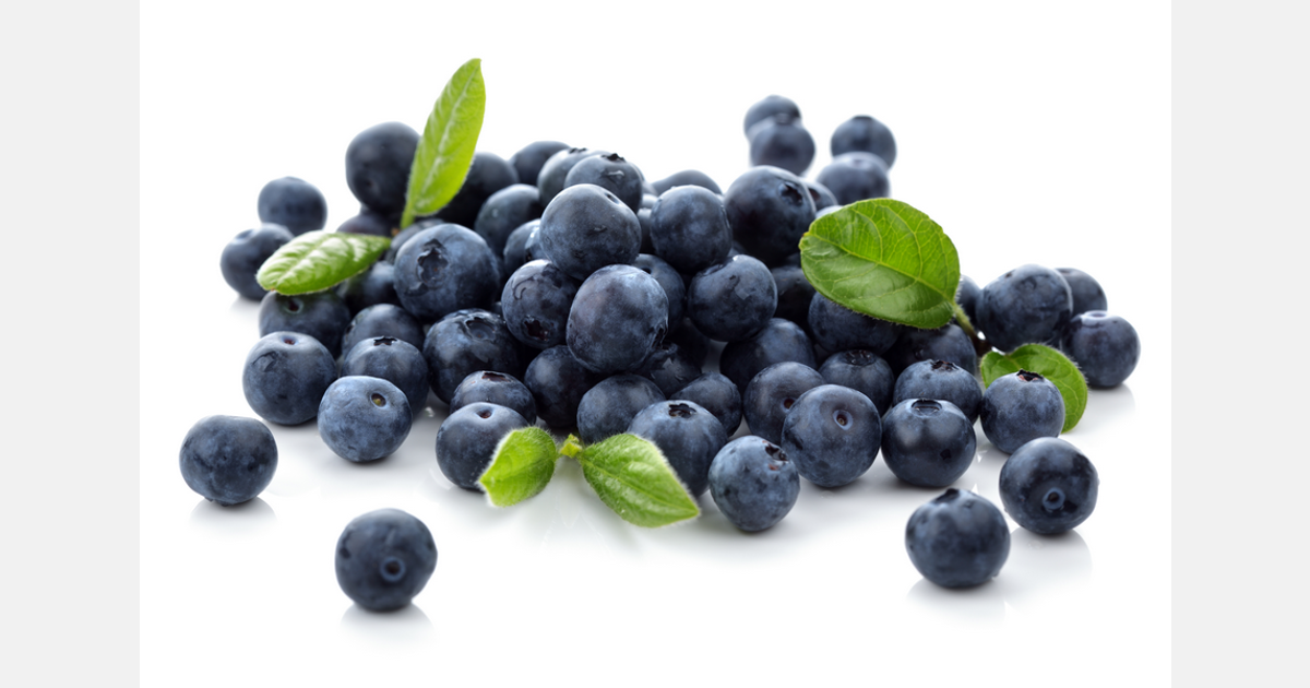 Characterizing SSR markers for genetic application in blueberries