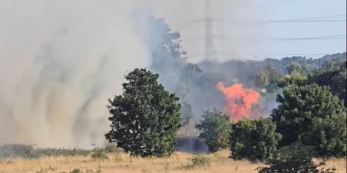 Huge blaze breaks out in London country park as residents forced to evacuate homes