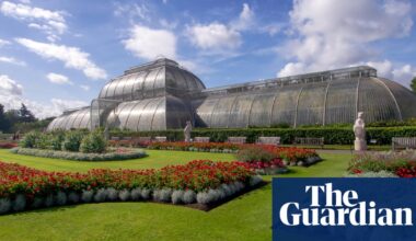 Kew Gardens’ tropical Palm House to shut for five years for net zero makeover | Kew Gardens
