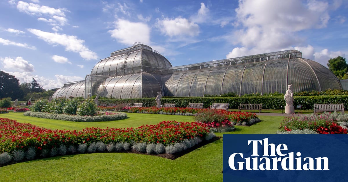 Kew Gardens’ tropical Palm House to shut for five years for net zero makeover | Kew Gardens