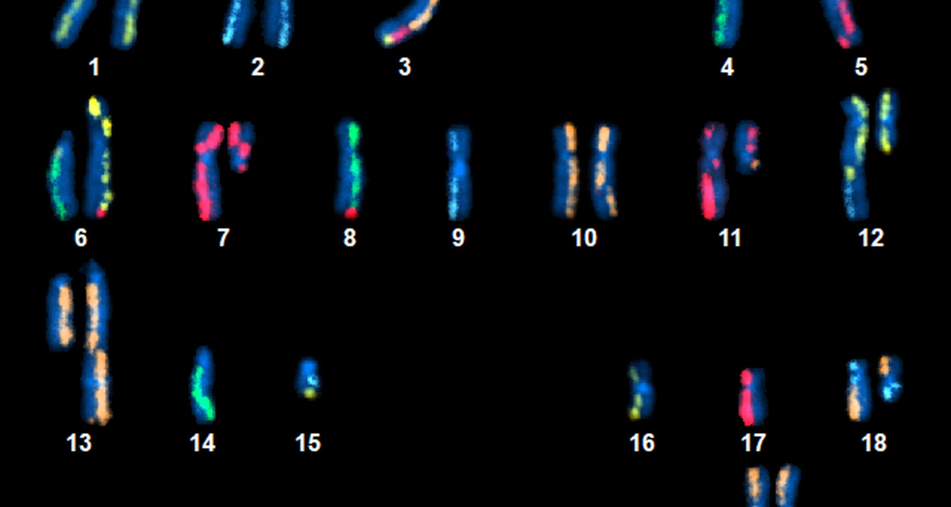 Trove of genetic data to spur cancer research released