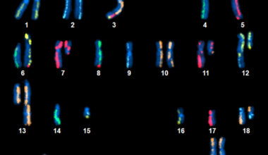 Trove of genetic data to spur cancer research released