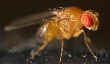 Biology is complex and diverse, so scientific research approaches need to be too