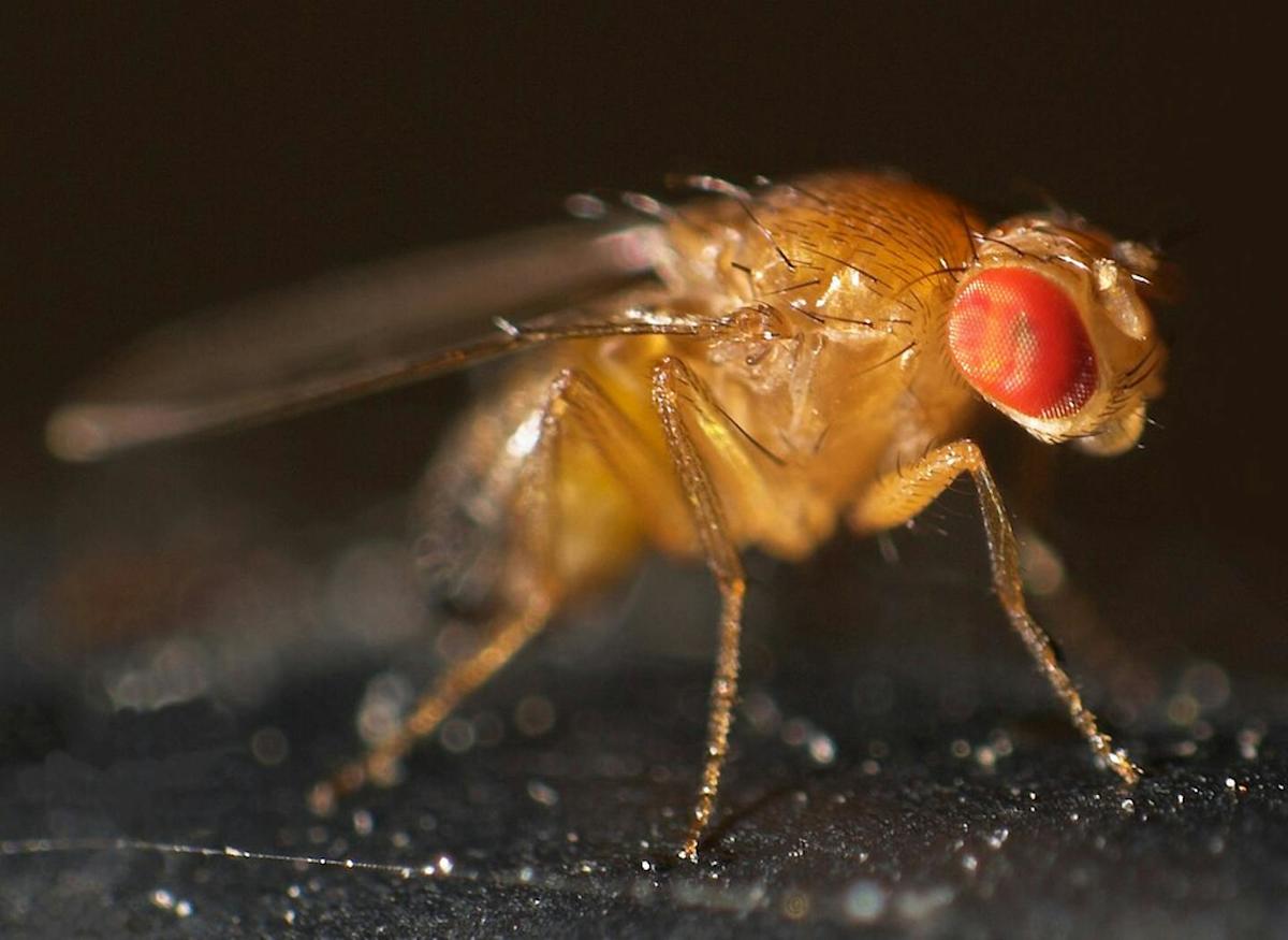 Biology is complex and diverse, so scientific research approaches need to be too
