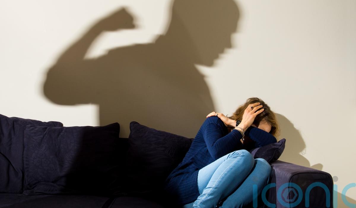 Improved funding and co-ordination urged to tackle violence against females