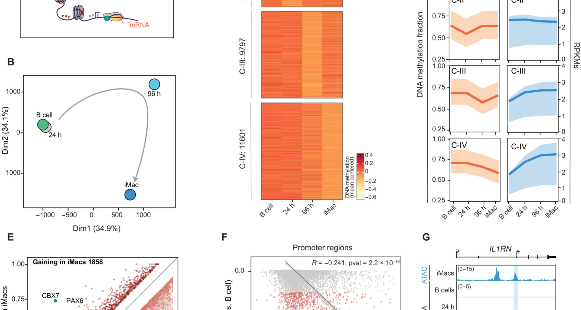 Study shows gene 'switches' can be edited to influence inflammation