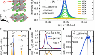 Anisotropic spin stripe domains in bilayer La3Ni2O7