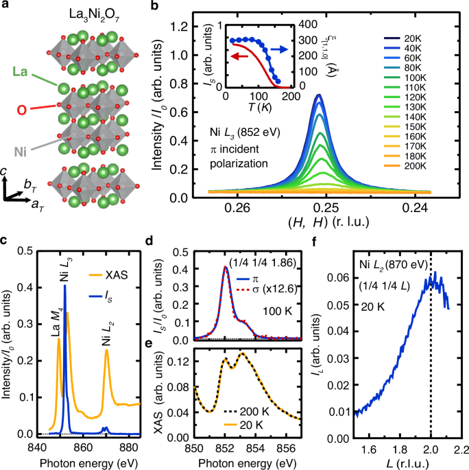 Anisotropic spin stripe domains in bilayer La3Ni2O7