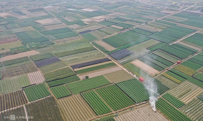 Brothers threaten violence against sisters for inheritance, all lose 2,800 sqm of land