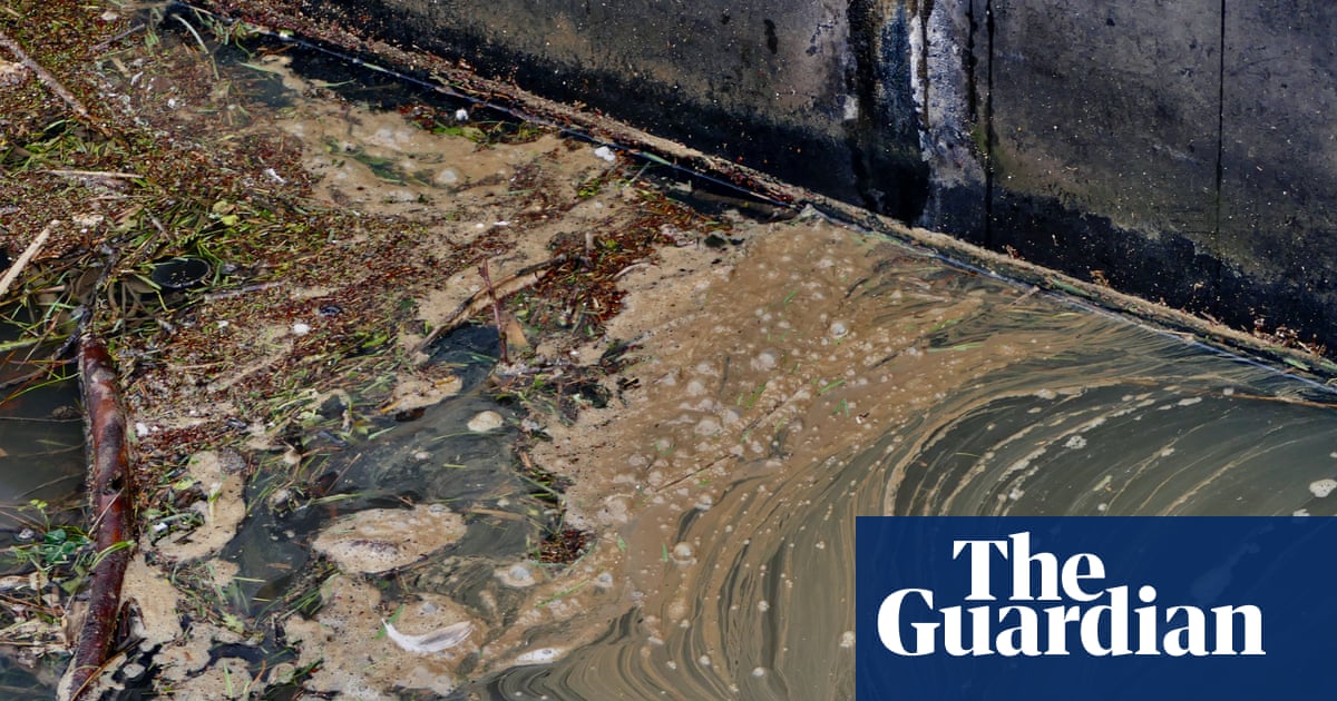 Serious pollution incidents by English water companies rose 60% last year | Water