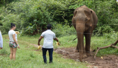 Researchers warn of risks tied to wildlife interactions