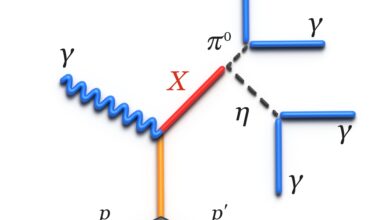 'Standard candle' particle measurement enables hunt for hybrid mesons